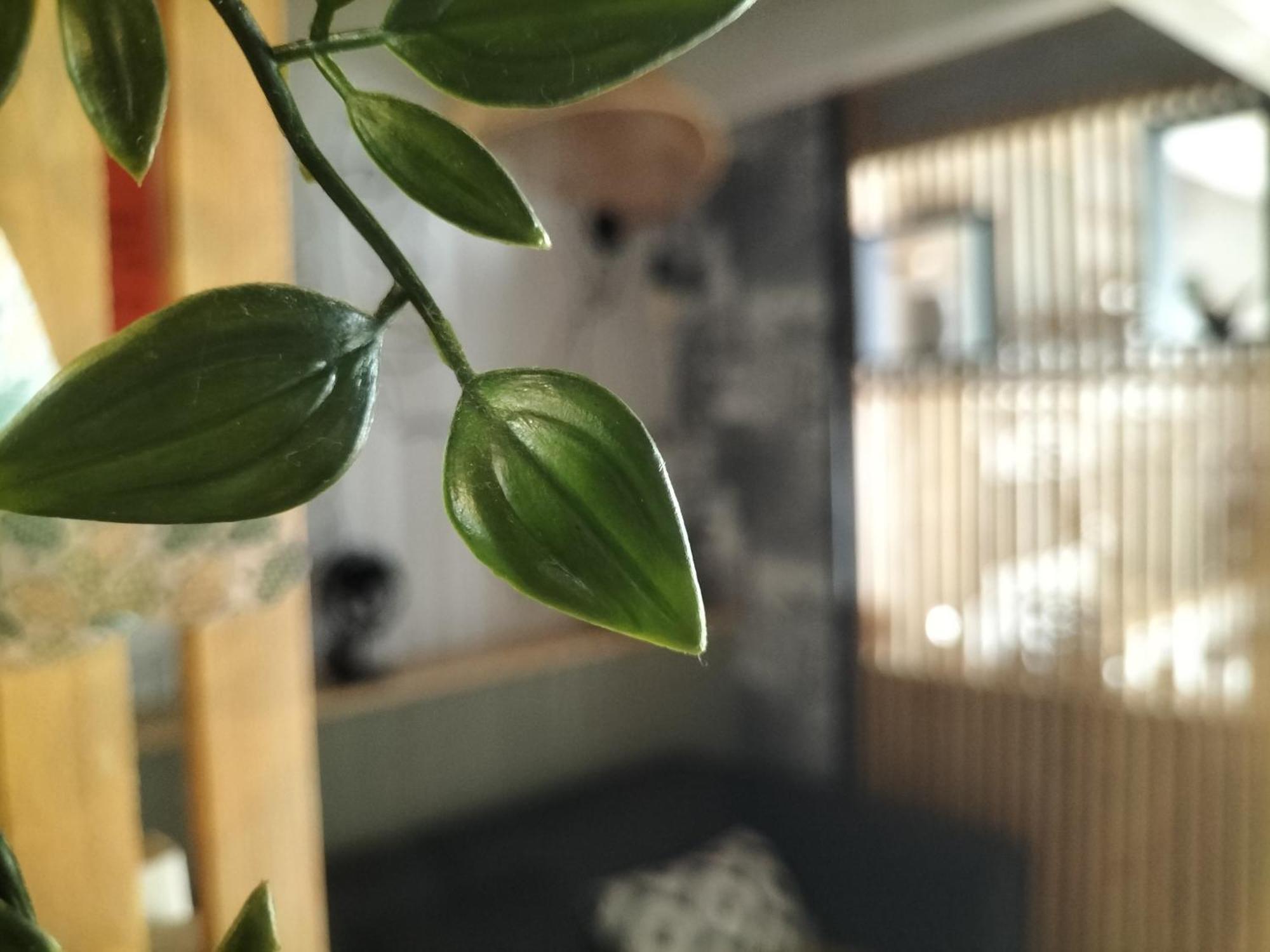 Au Bord Du Vieux Moulin Apartment Merignac  Bagian luar foto
